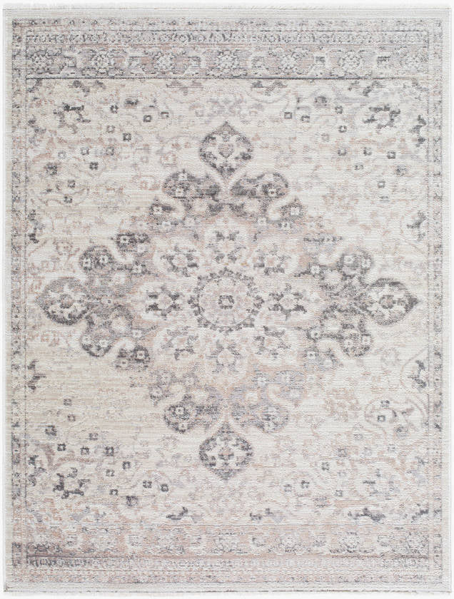 Tarrin Traditional Charcoal Area Rug