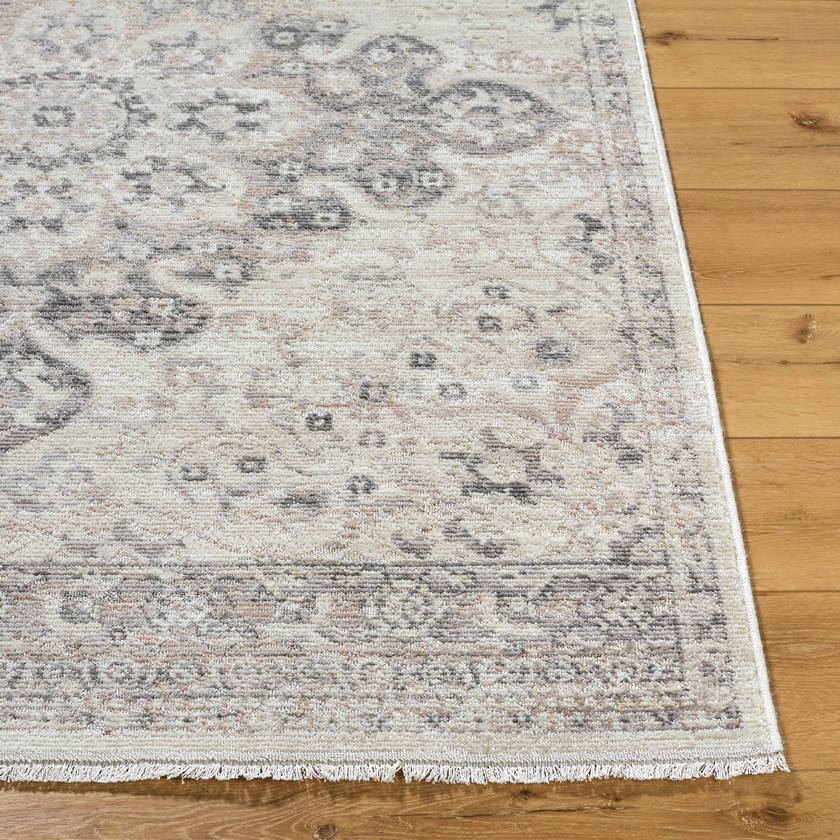 Tarrin Traditional Charcoal Area Rug
