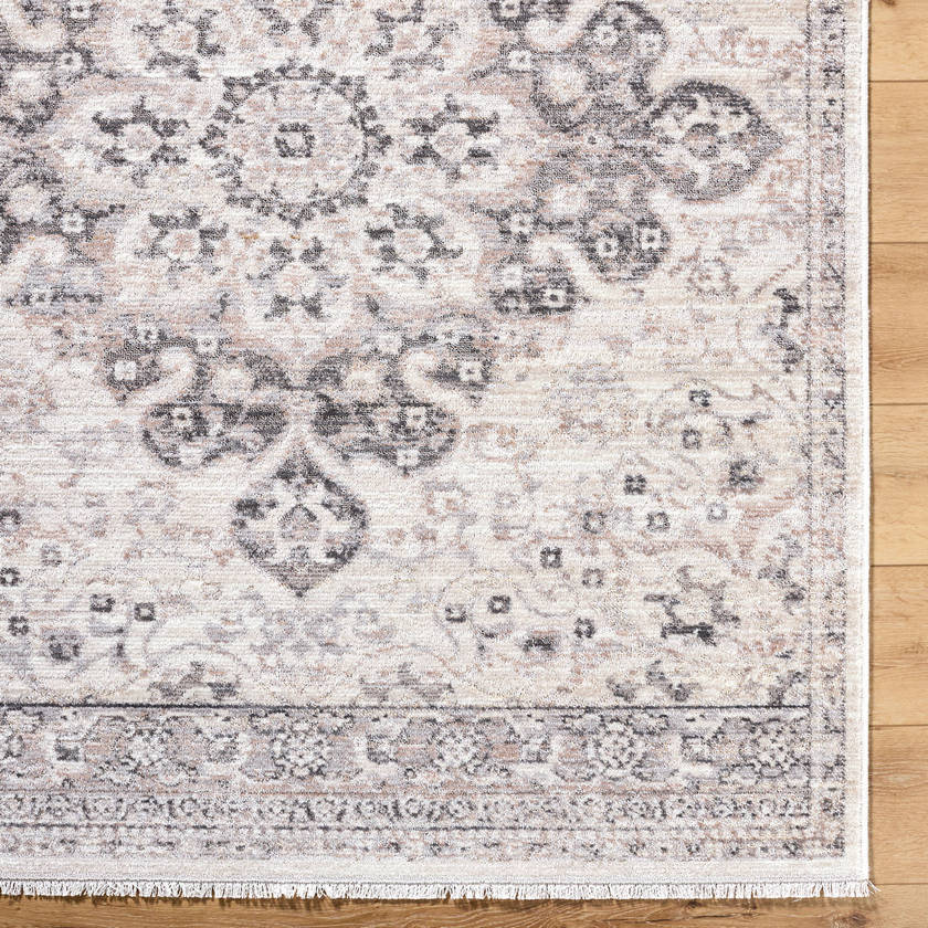 Tarrin Traditional Charcoal Area Rug
