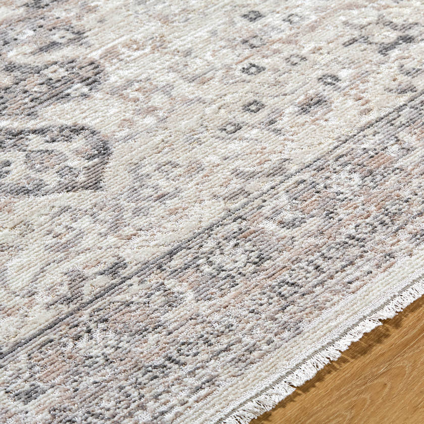 Tarrin Traditional Charcoal Area Rug