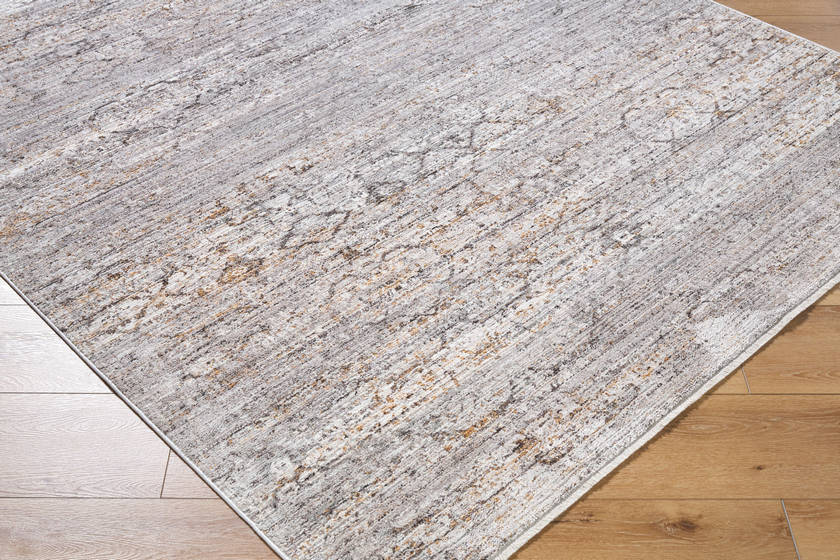 Jazzmen Traditional Gray Area Rug