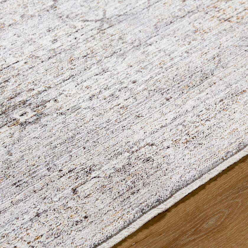 Jazzmen Traditional Gray Area Rug