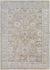 Markeia Traditional Medium Gray Area Rug