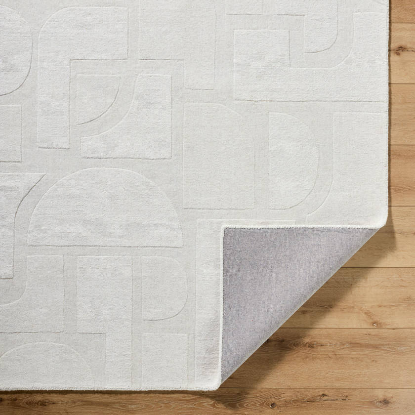 Farzad Traditional Light Gray Area Rug