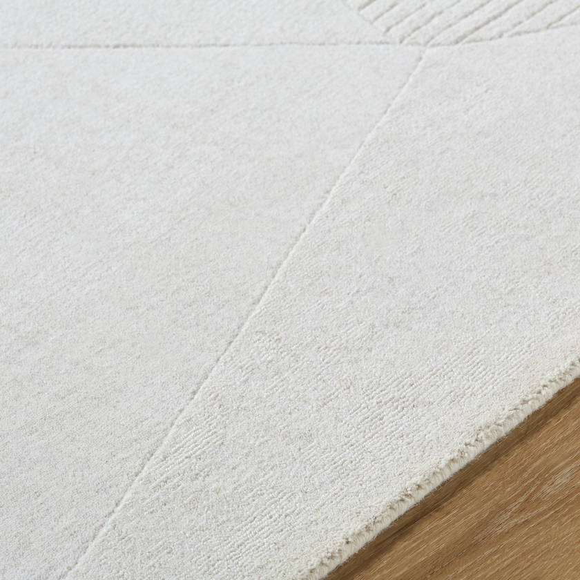 Alita Traditional Light Gray Area Rug