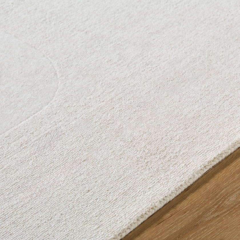 Nahunta Traditional Light Gray Area Rug