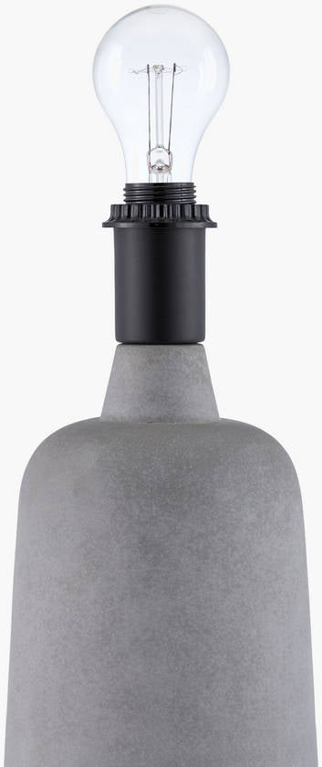 Delecia Traditional Gray Table Lamp