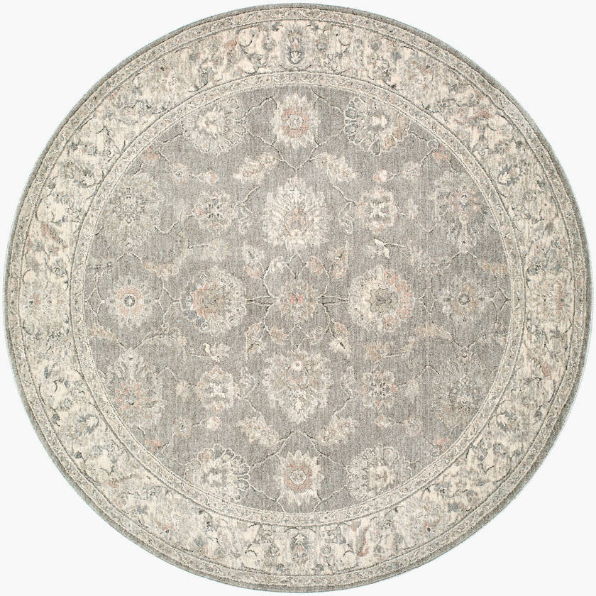 Georgena Traditional Light Slate Area Rug