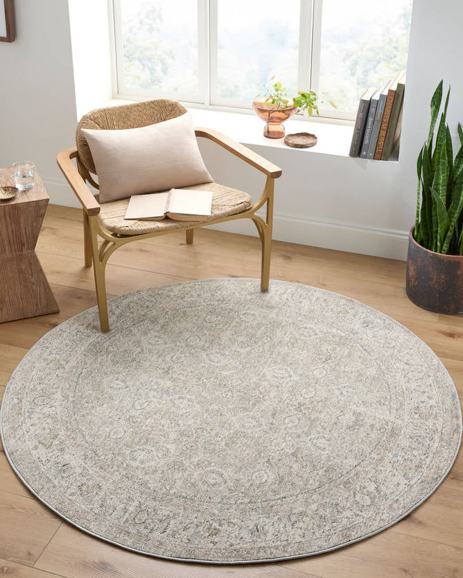 Deonta Traditional Light Slate Area Rug