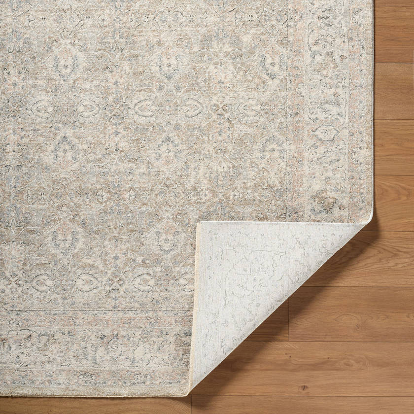 Deonta Traditional Light Slate Area Rug