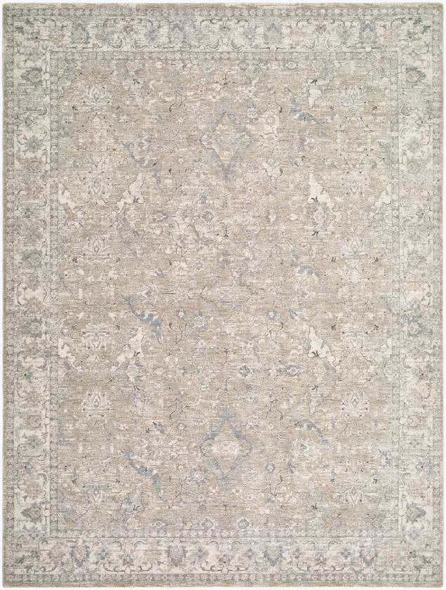 Eboni Traditional Slate Area Rug
