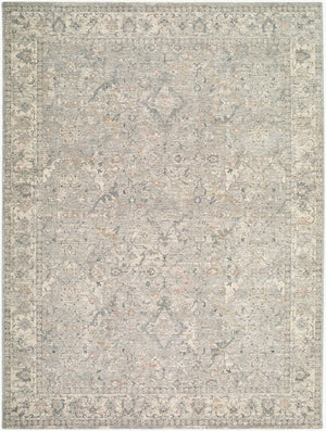 Eboni Traditional Light Slate Area Rug