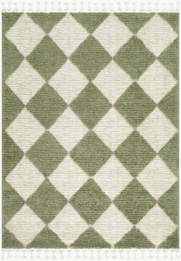 Lelani Modern Olive Area Rug