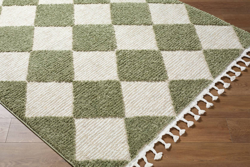 Lelani Modern Olive Area Rug