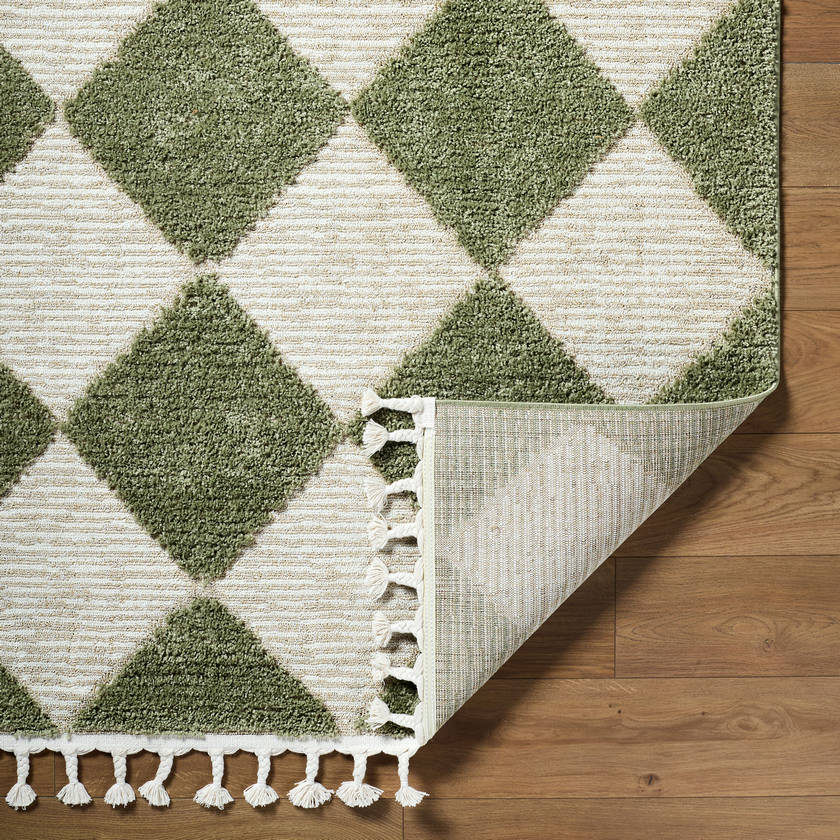 Lelani Modern Olive Area Rug