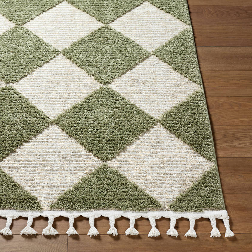 Lelani Modern Olive Area Rug