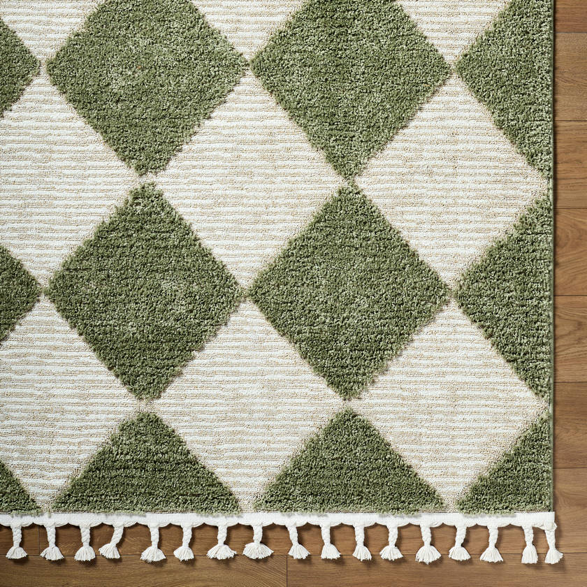 Lelani Modern Olive Area Rug