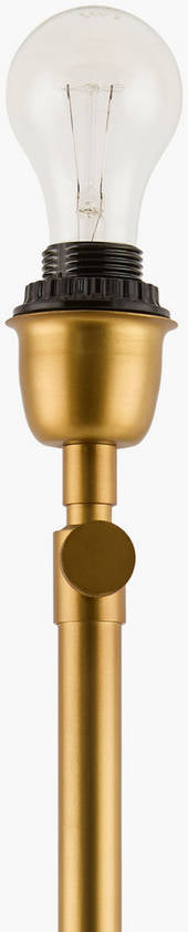 Deandrea Modern Gold Table Lamp