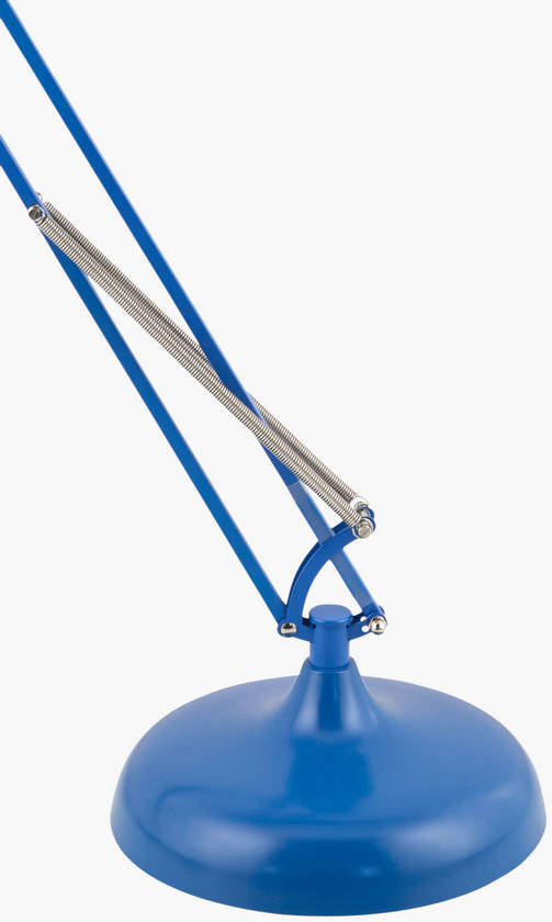 Charitie Rustic Blue Floor Lamp