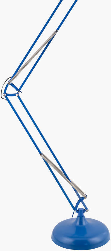 Charitie Rustic Blue Floor Lamp