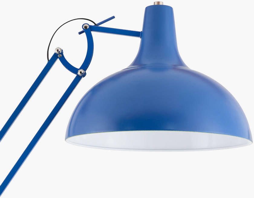 Charitie Rustic Blue Floor Lamp