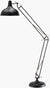 Charitie Rustic Black Floor Lamp