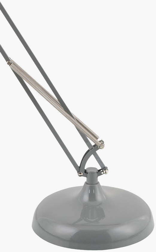 Charitie Rustic Gray Floor Lamp