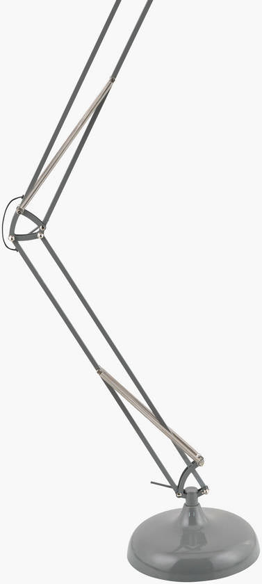 Charitie Rustic Gray Floor Lamp