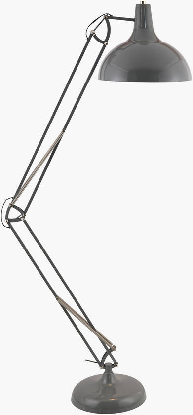 Charitie Rustic Gray Floor Lamp