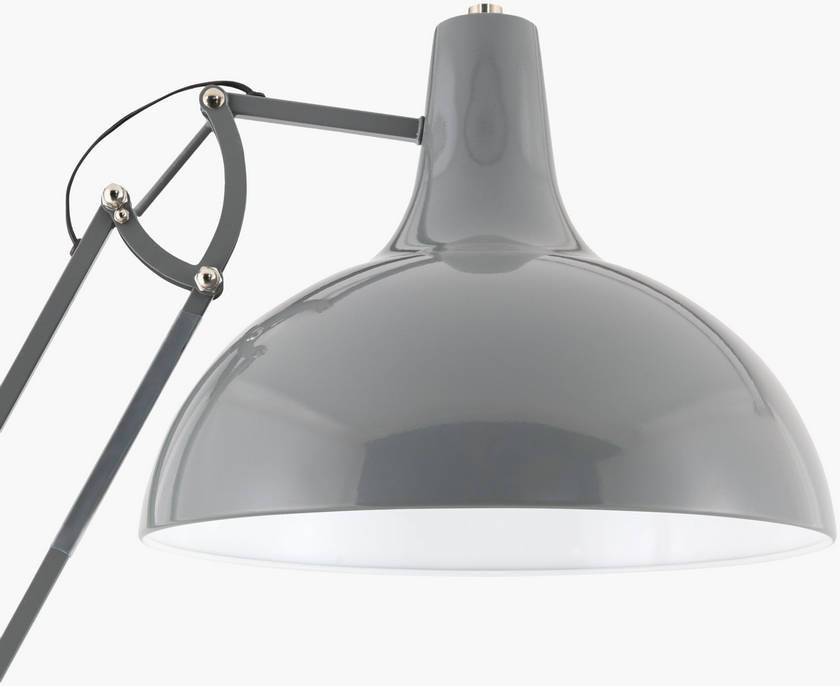 Charitie Rustic Gray Floor Lamp