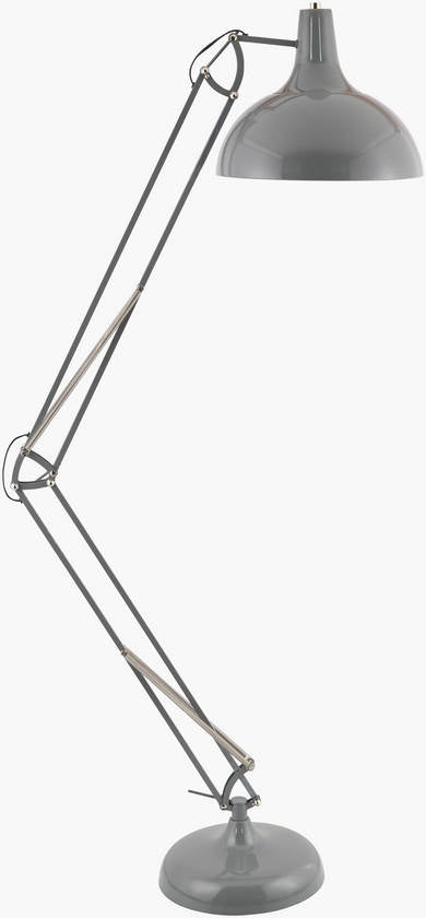 Charitie Rustic Gray Floor Lamp