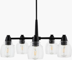 Dusti Modern Black Ceiling Lighting