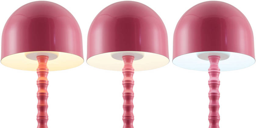 Francheska Traditional Pink Table Lamp