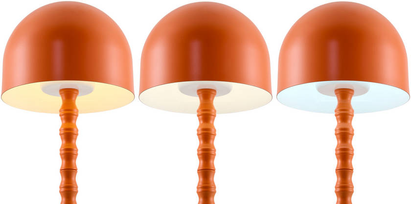 Francheska Traditional Orange Table Lamp