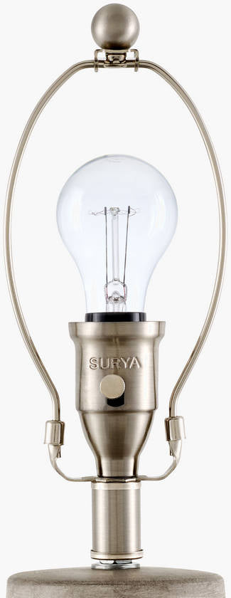 Shawndra Traditional Gray Table Lamp