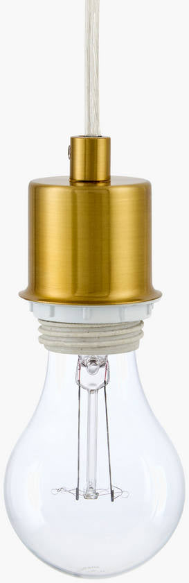 Derrion Rustic White Ceiling Lighting