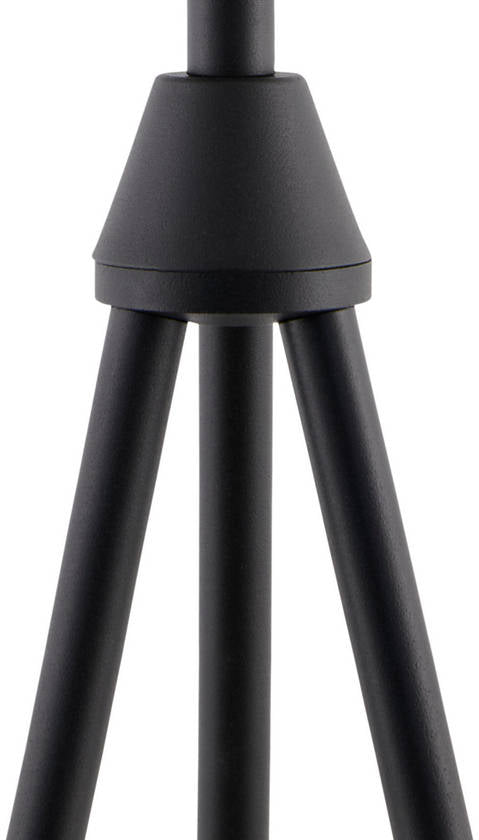 Diondra Rustic Black Floor Lamp