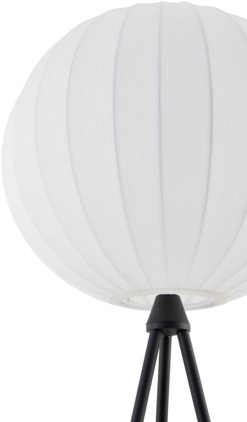 Diondra Rustic Black Floor Lamp