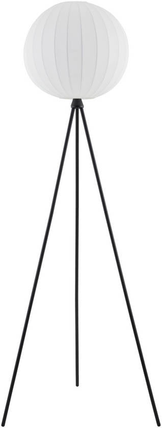 Diondra Rustic Black Floor Lamp