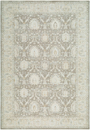 Assel Traditional Medium Gray Area Rug
