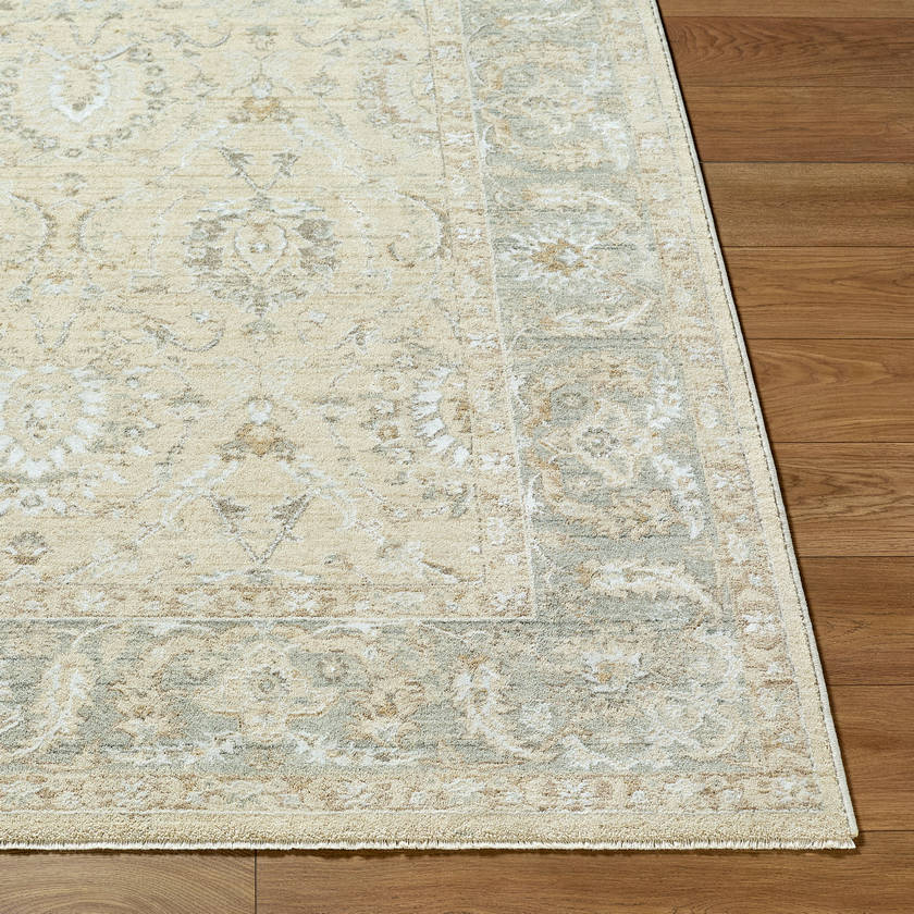 Assel Traditional Sage Area Rug