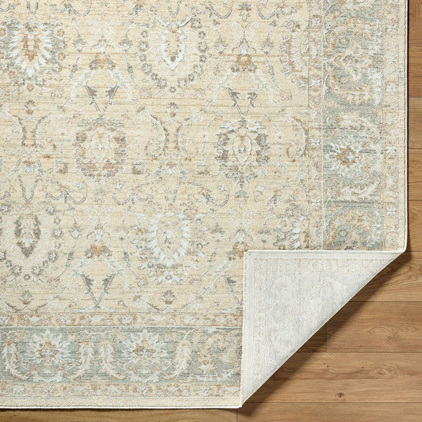 Assel Traditional Sage Area Rug