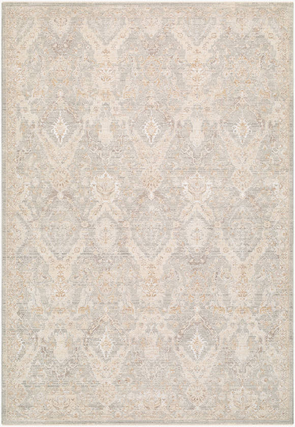 Sherica Traditional Medium Gray Area Rug