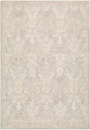Sherica Traditional Medium Gray Area Rug
