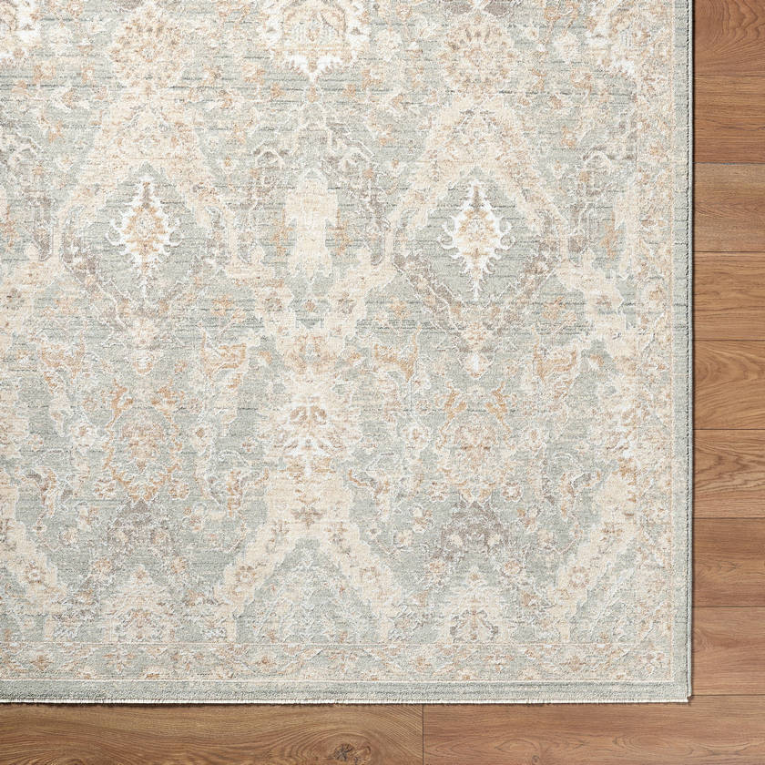 Sherica Traditional Medium Gray Area Rug
