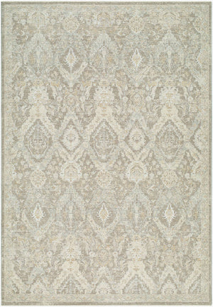 Sherica Traditional Light Beige Area Rug