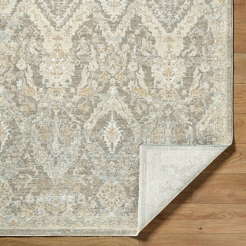 Sherica Traditional Light Beige Area Rug
