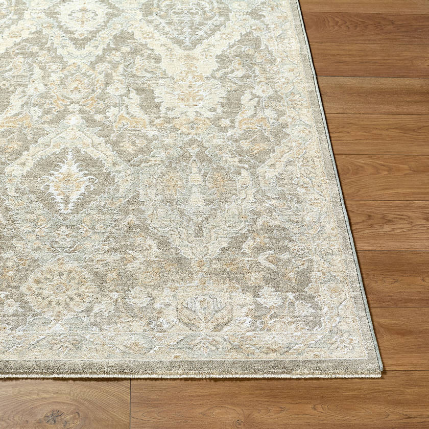 Sherica Traditional Light Beige Area Rug