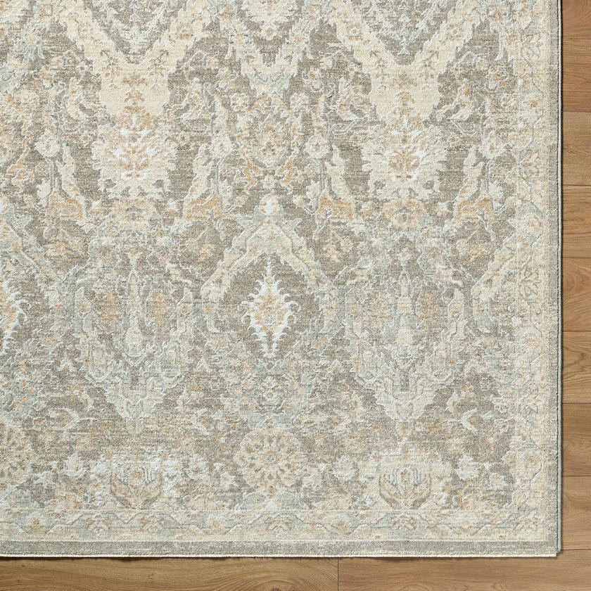 Sherica Traditional Light Beige Area Rug