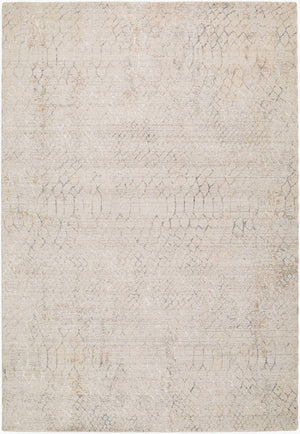 Katurah Modern Light Beige/Slate Area Rug